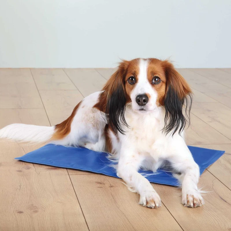 Kühlmatte für Hunde