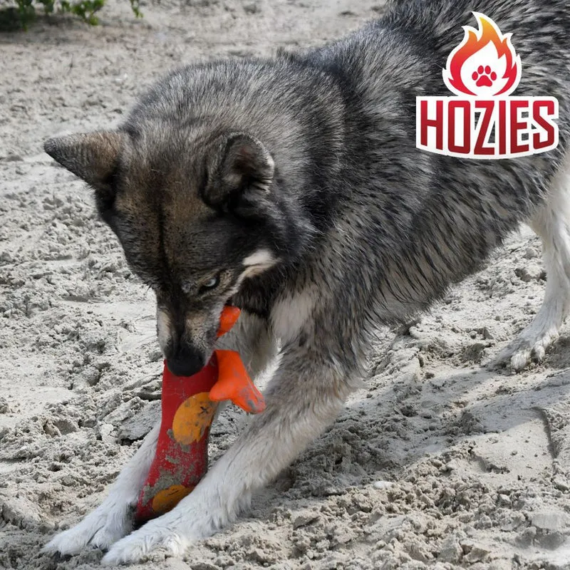 Hozies Apportierspielzeug - Feuerwehrschlauch extra stark schwimmt mit Squeaker
