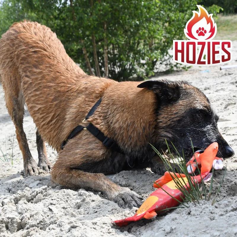 Hozies Apportierspielzeug - Feuerwehrschlauch extra stark schwimmt mit Squeaker