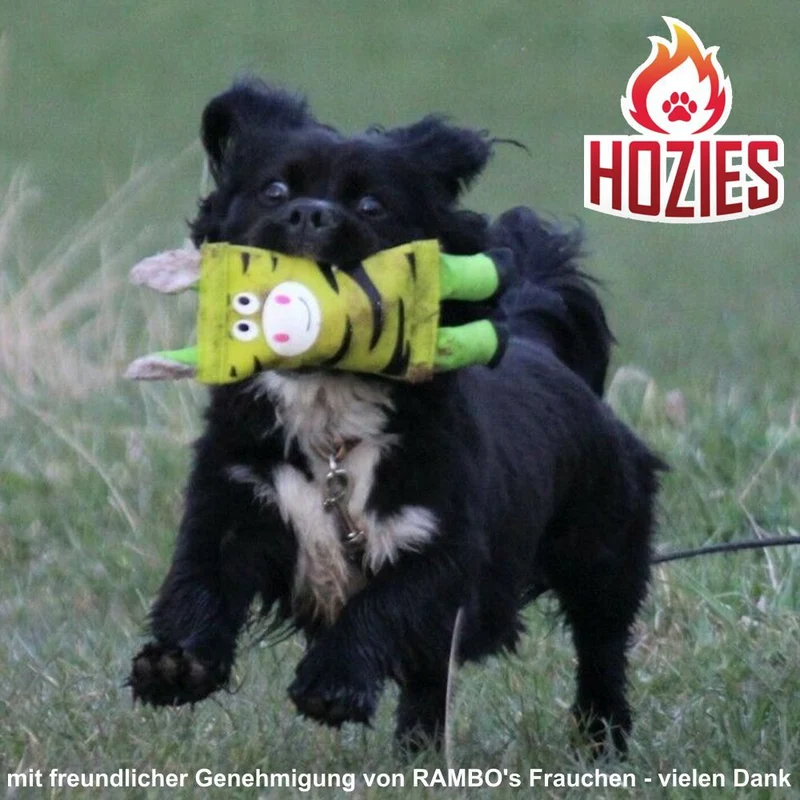 Hozies Apportierspielzeug - Feuerwehrschlauch extra stark schwimmt mit Squeaker