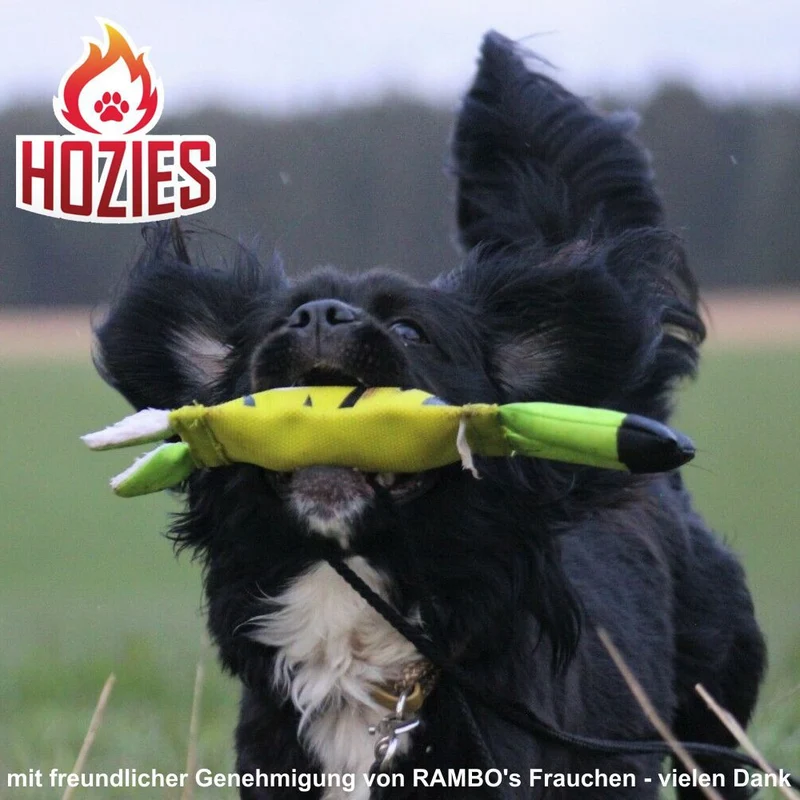 Hozies Apportierspielzeug - Feuerwehrschlauch extra stark schwimmt mit Squeaker