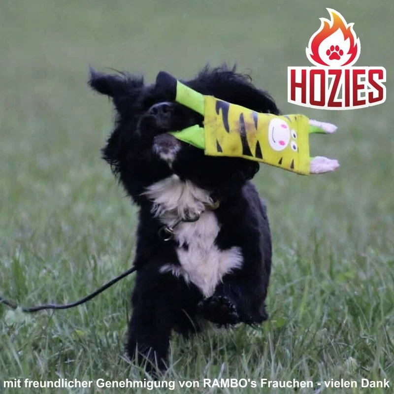 Hozies Apportierspielzeug - Feuerwehrschlauch extra stark schwimmt mit Squeaker