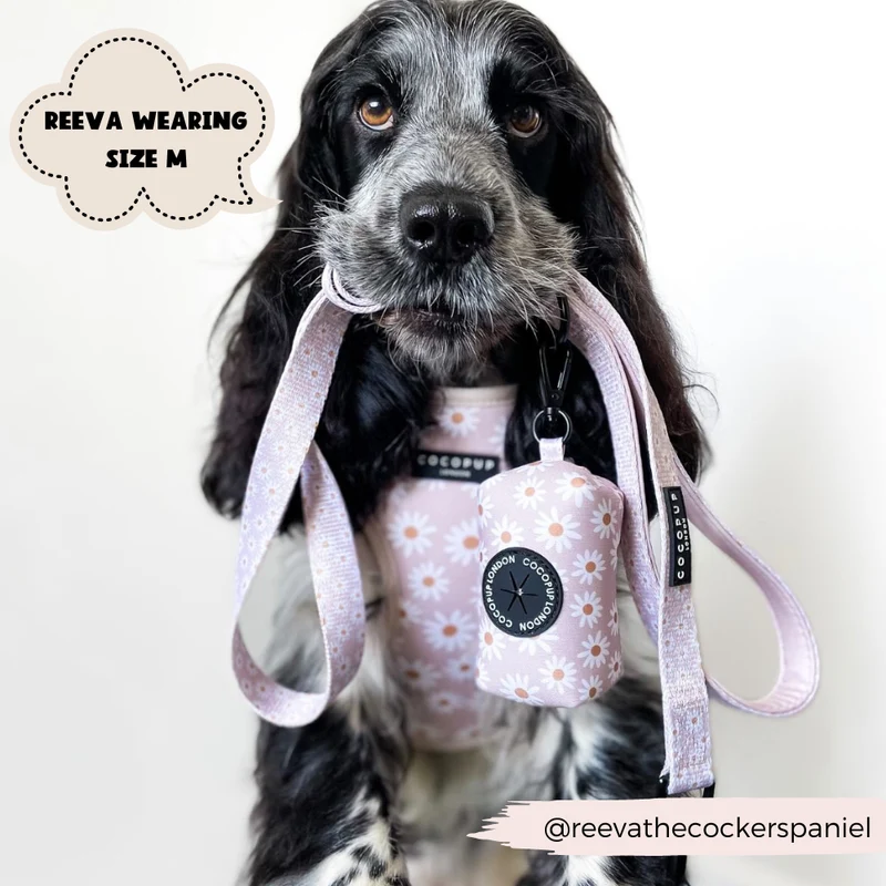 Kotbeutelspender | Daisy Chain