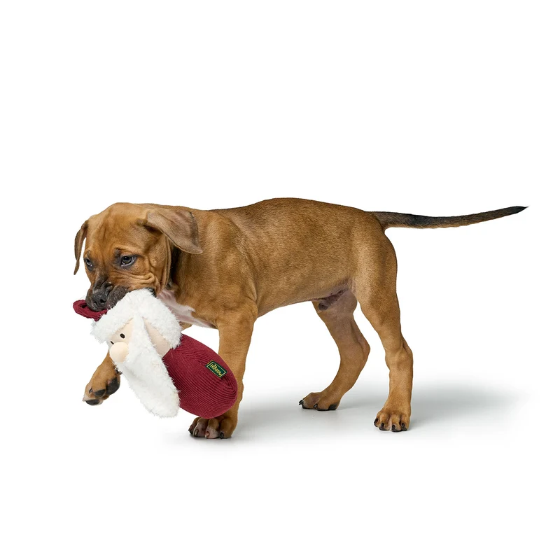 Hundespielzeug Sitka