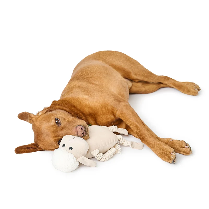 Hundespielzeug Alma