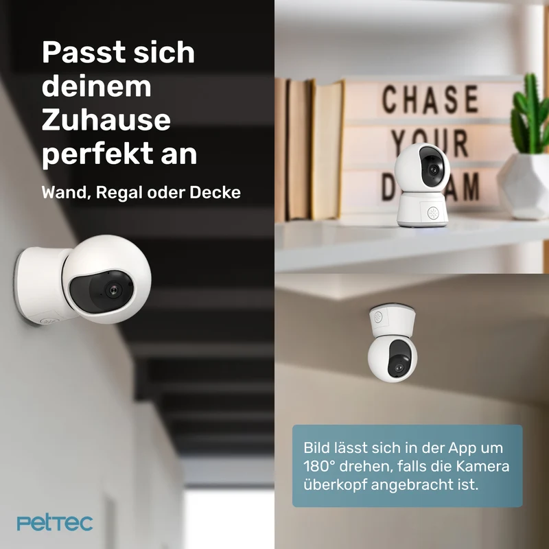 Pet Cam Laser