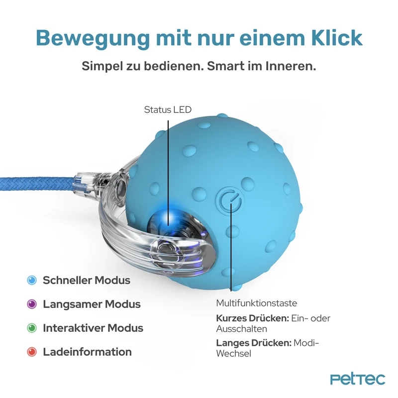 Pet Toy Interactive Ball