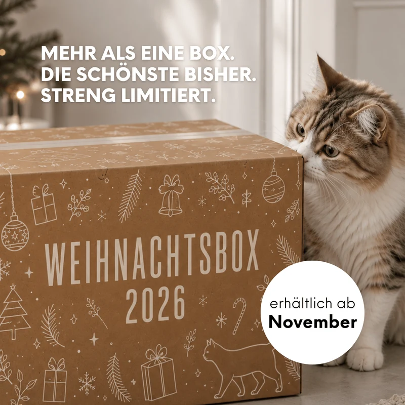 Weihnachtsbox 2026