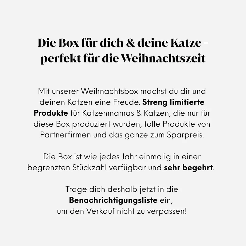 Weihnachtsbox 2026