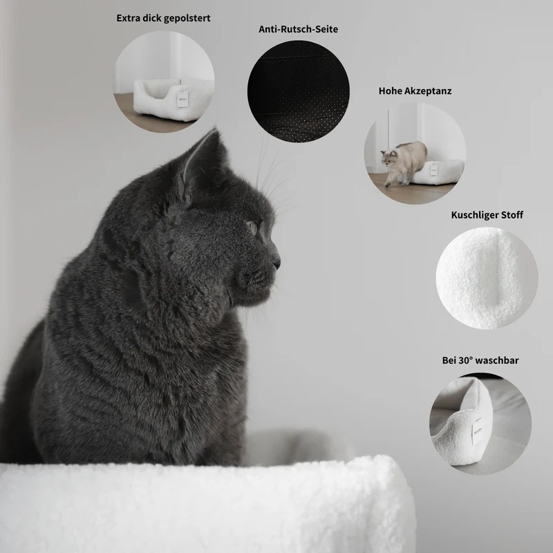 TEDDY - Körbchen für Katzen