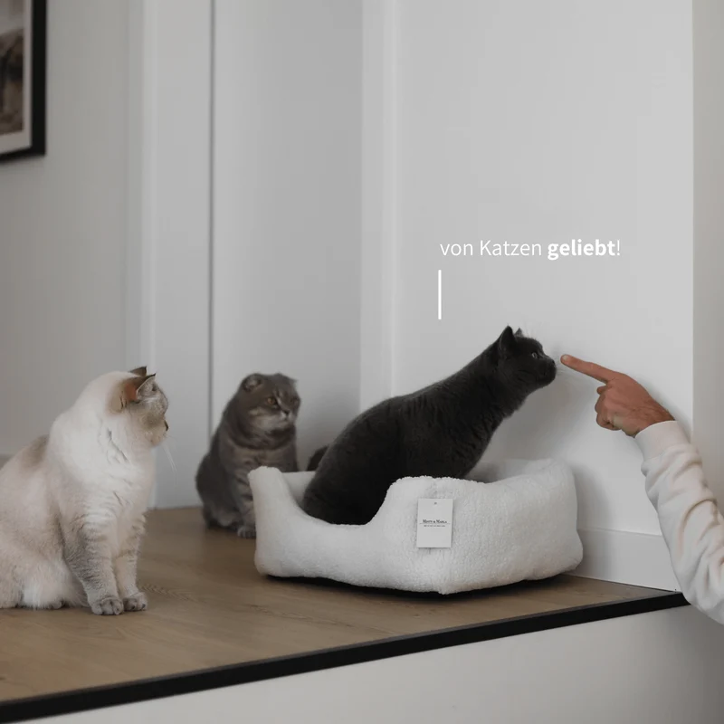 TEDDY - Körbchen für Katzen