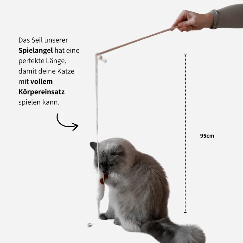 SPIELANGEL - mit Katzenminze