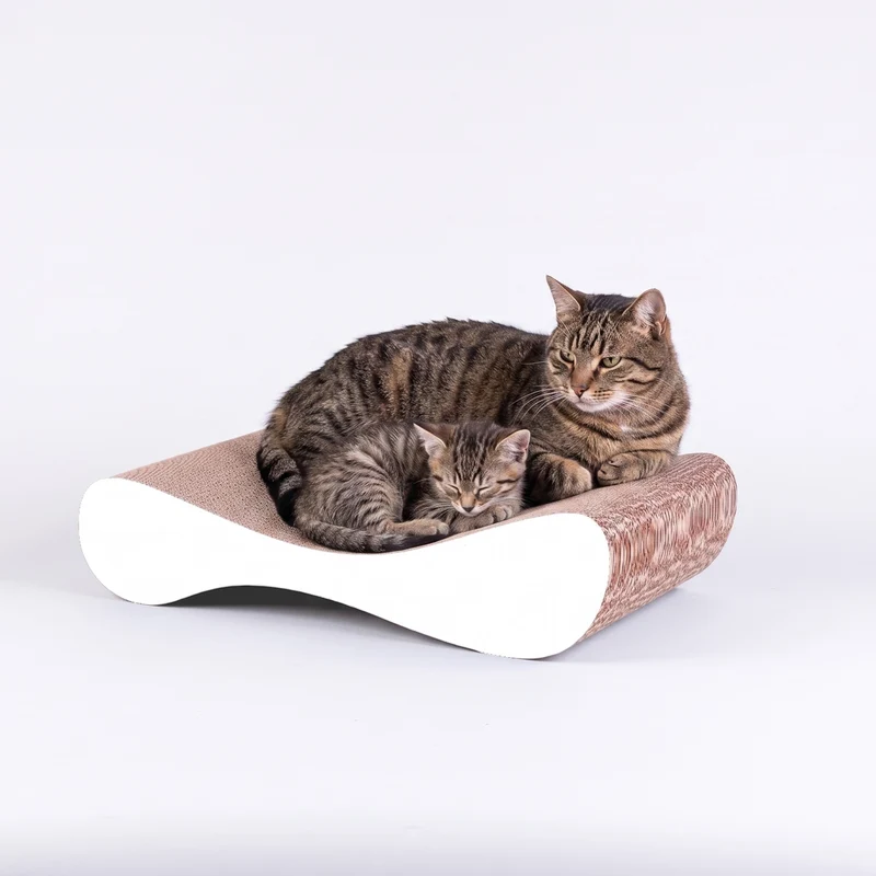 Kleines Katzenmöbel für gesunde Krallen ANDRÉ aus Kratzpappe