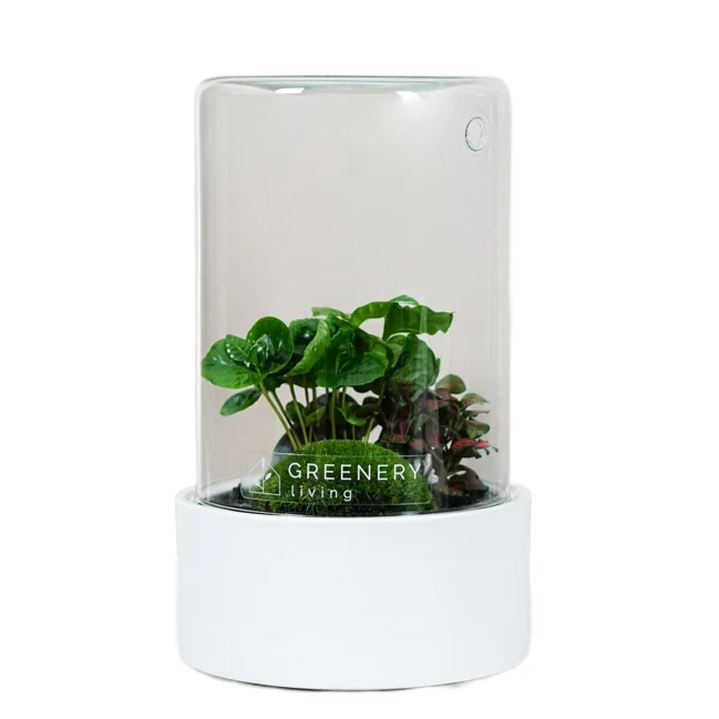 Flaschengarten CERA Weiß-Serie