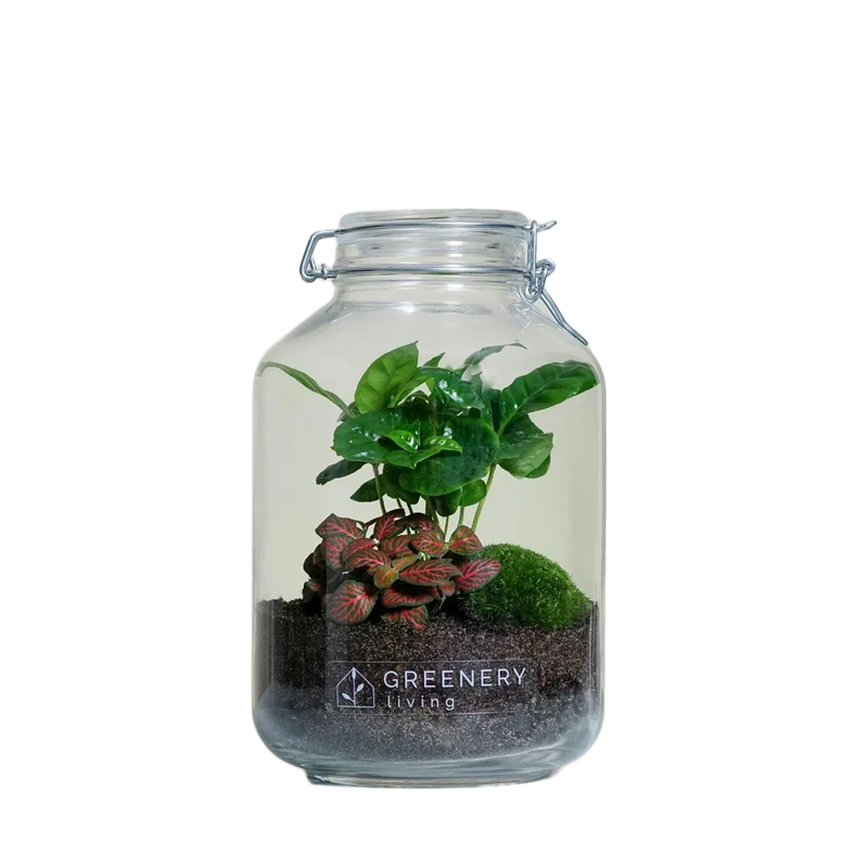 Flaschengarten JAR-Serie