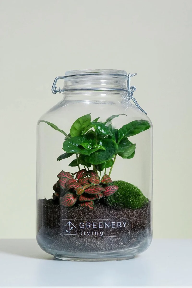 Flaschengarten JAR-Serie