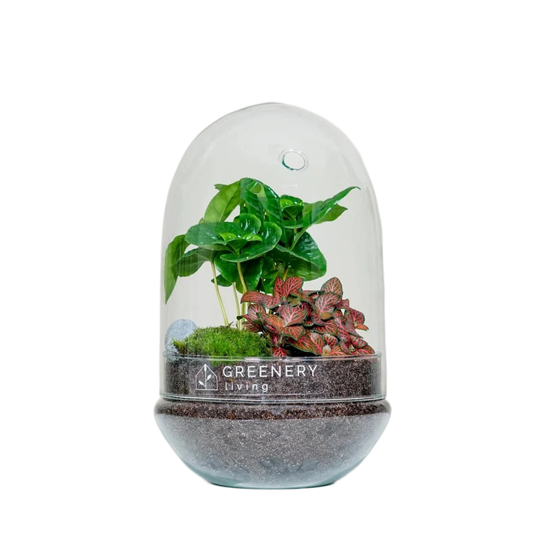 Flaschengarten EGG-Serie