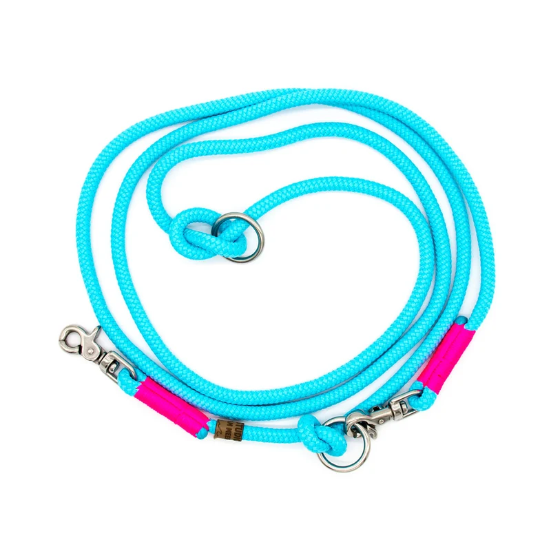 Hundetauleine Türkis mit Neonpink