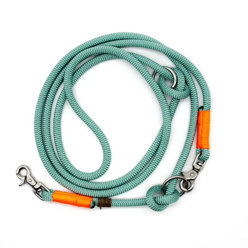 Hundetauleine Seagreen mit Neonorange