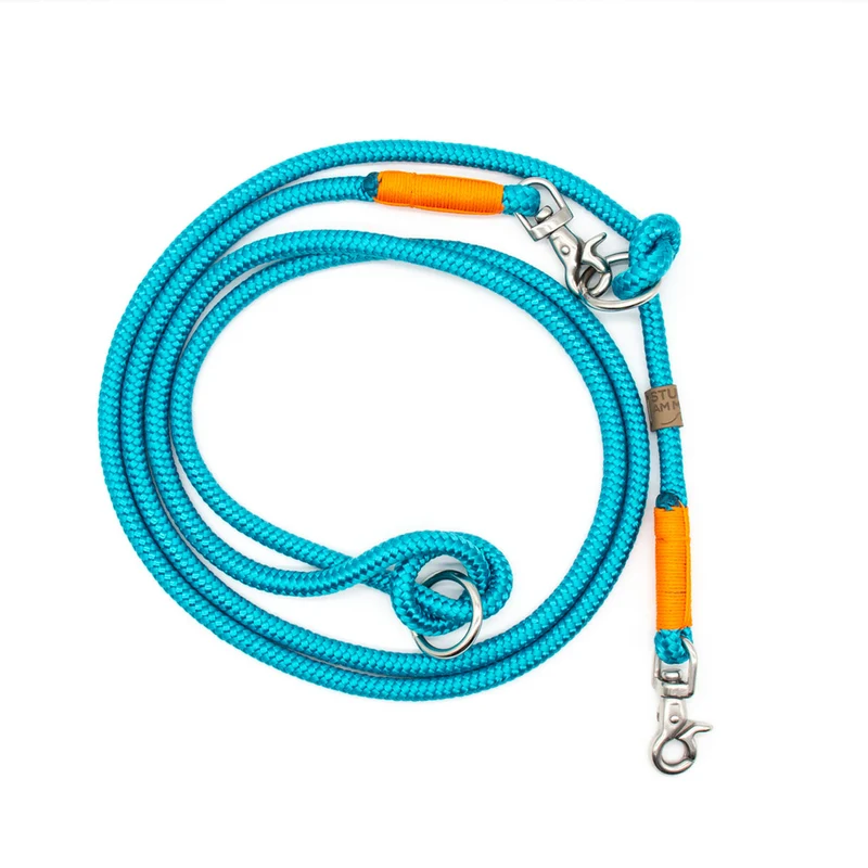 Hundetauleine Petrol mit Orange