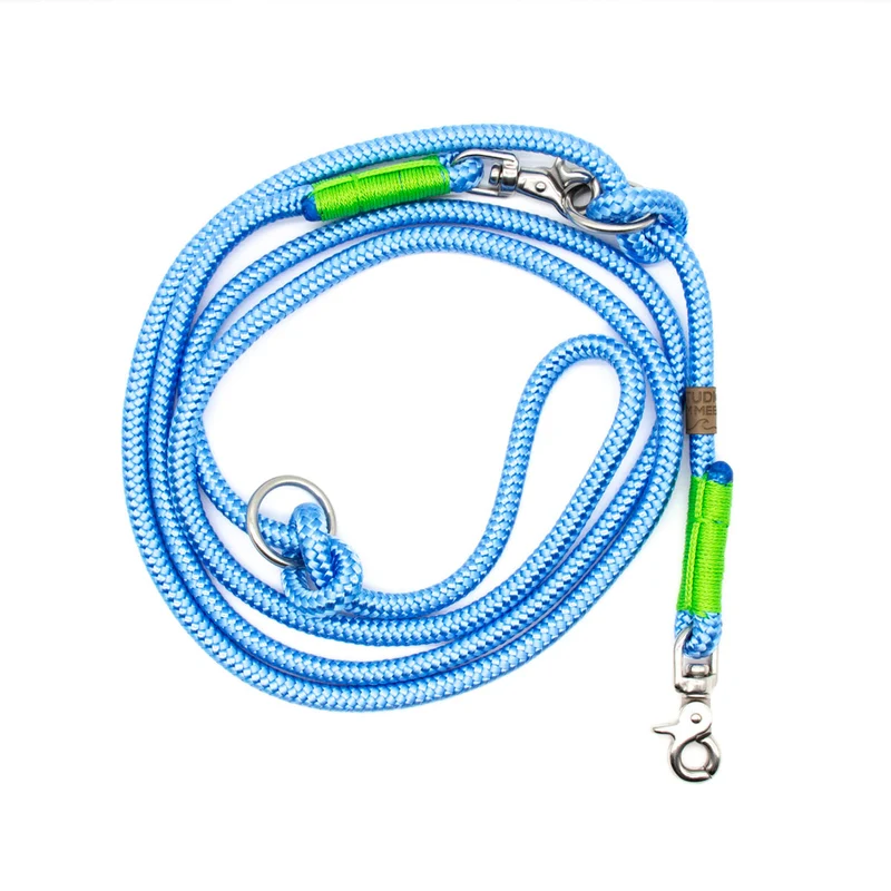Hundetauleine Hellblau mit Limone