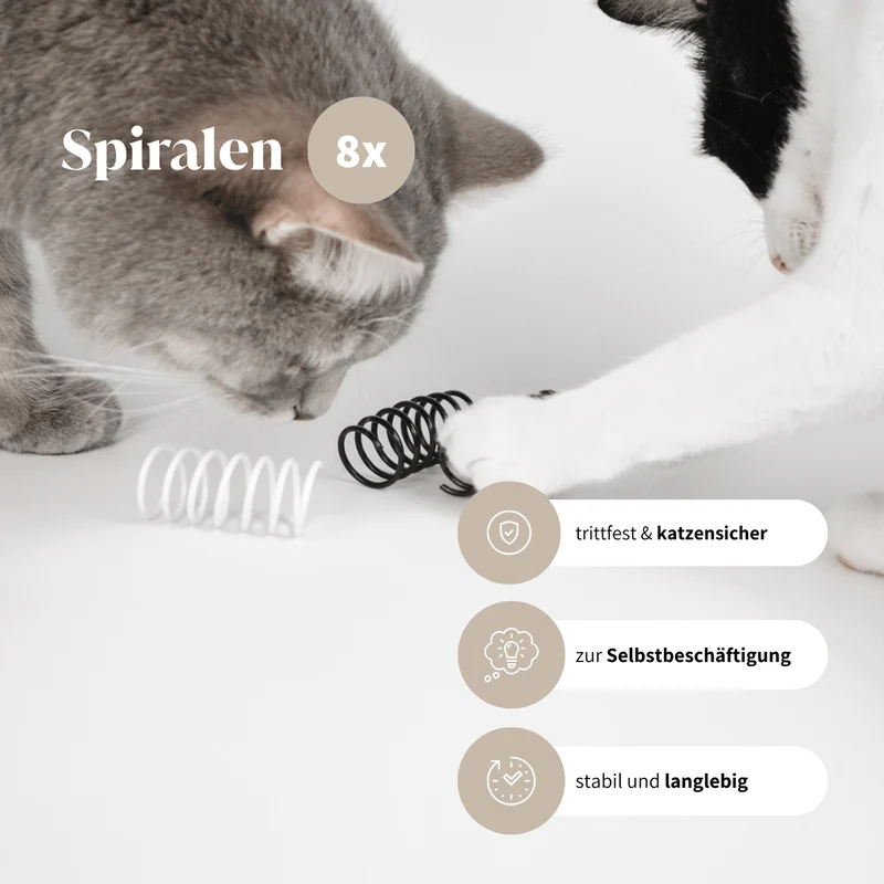 SPIELZEUG BOX
