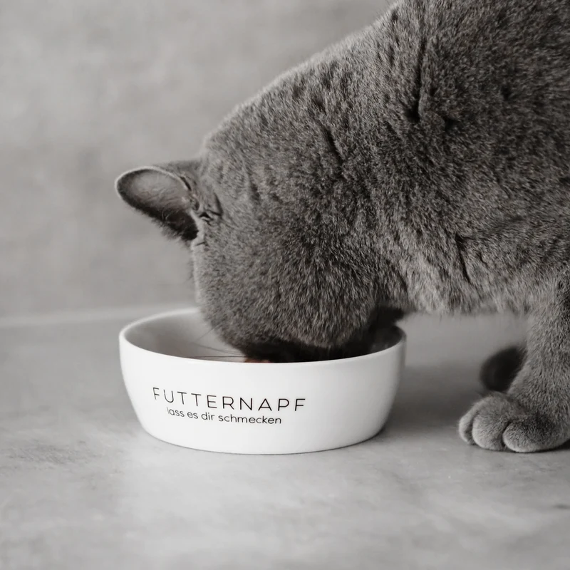 Futterzubehör Erstaustattung