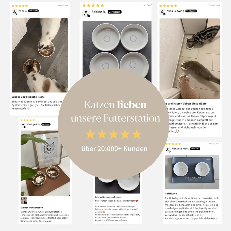 XXL Futterstation - 3er Set