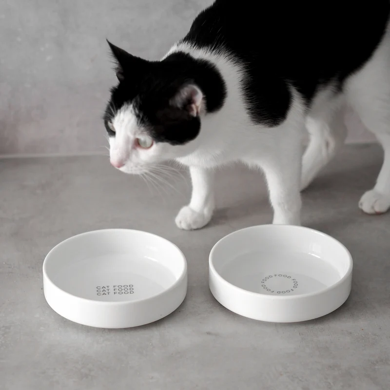 CAT FOOD - extra flacher Futternapf