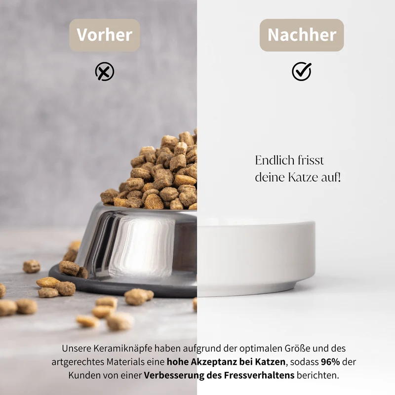 CAT FOOD - extra flacher Futternapf