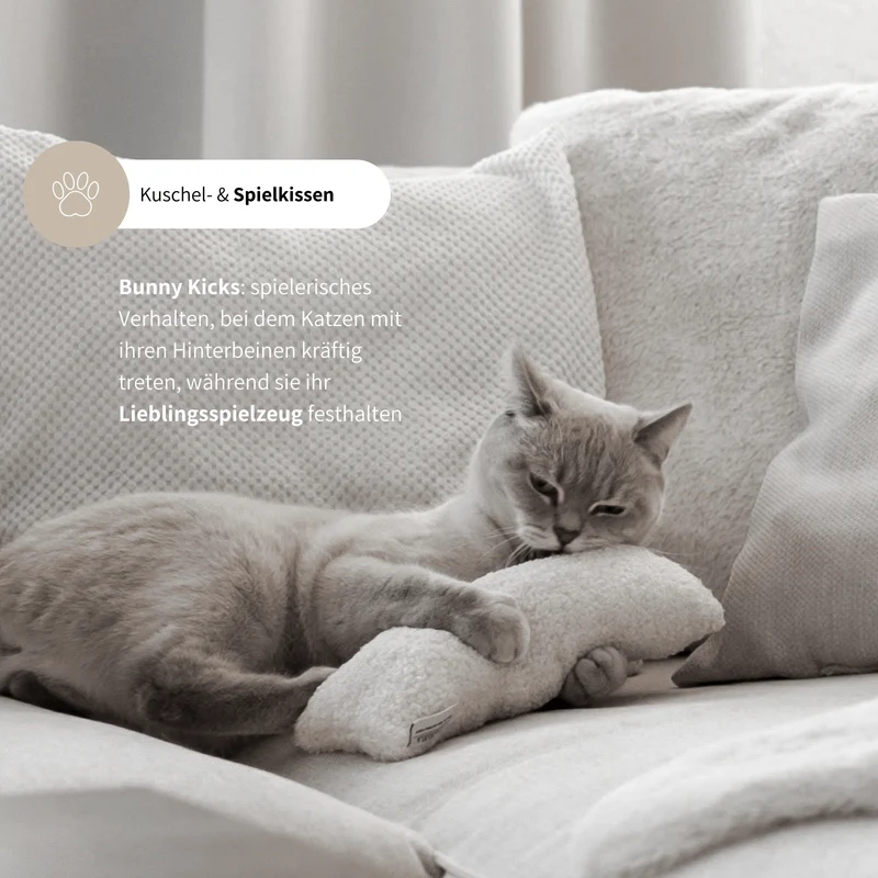 Bunny Kicks - Katzenminzekissen