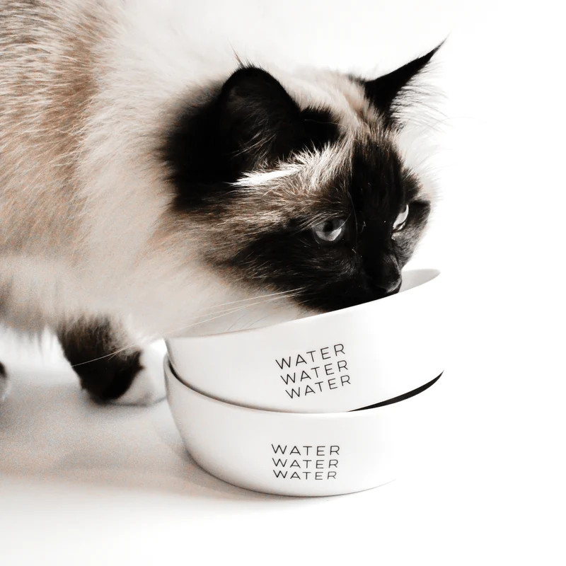 WATER - Wassernapf