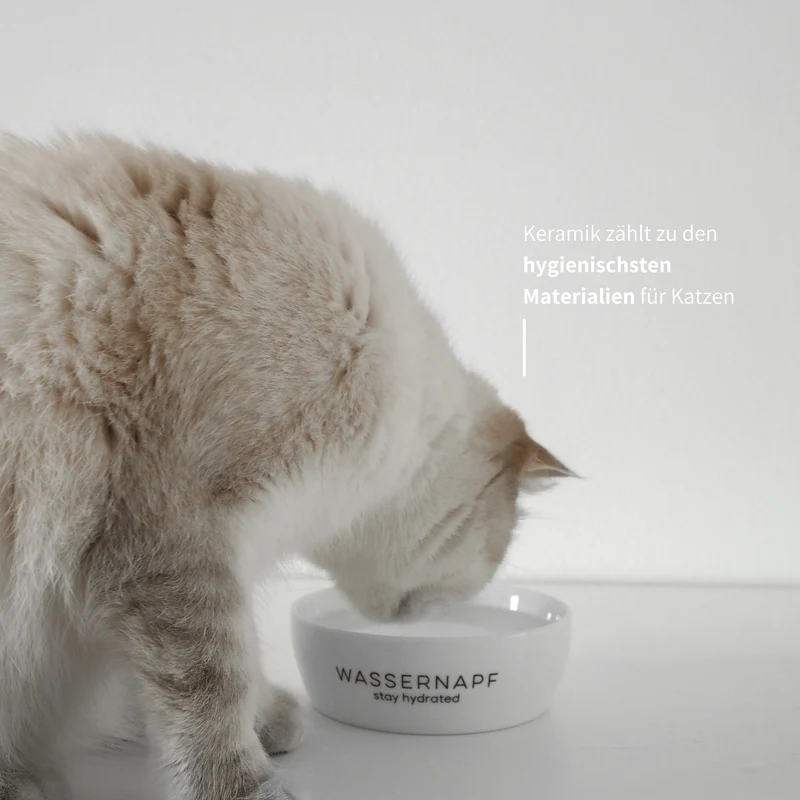 STAY HYDRATED - Wassernapf