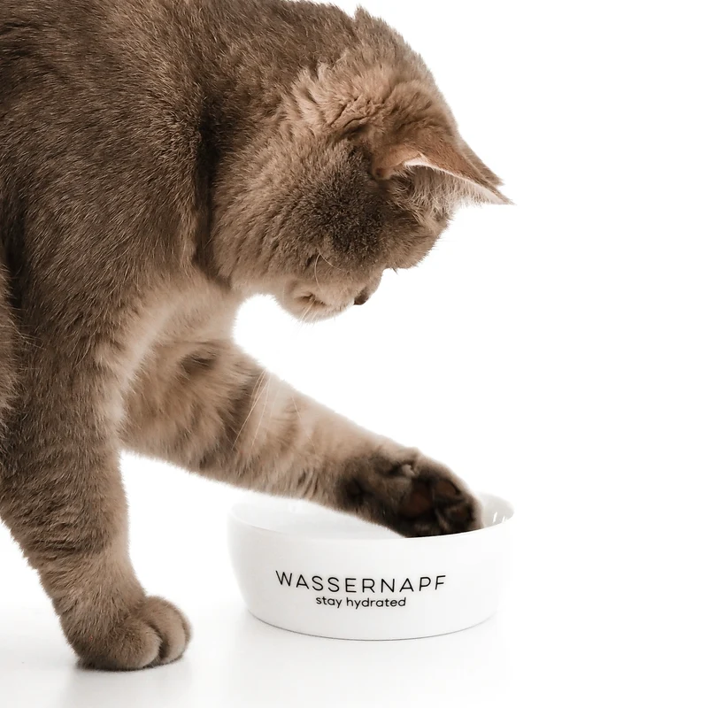 STAY HYDRATED - Wassernapf