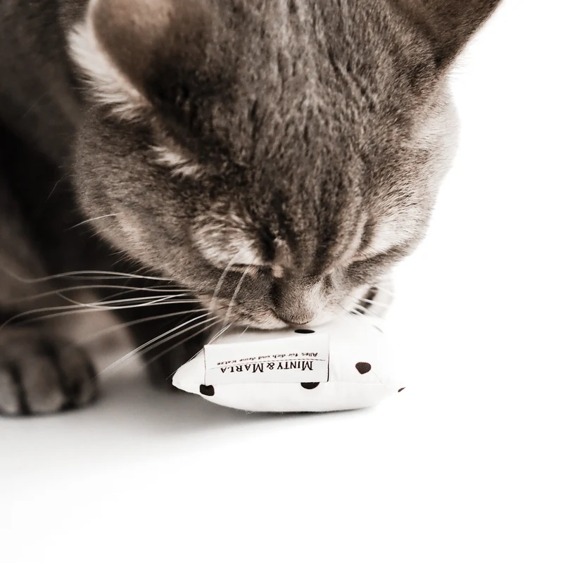 MINTKISSEN - Spielzeug mit Katzenminze