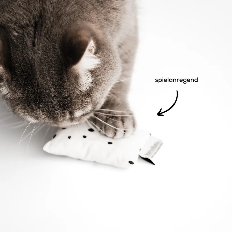 MINTKISSEN - Spielzeug mit Katzenminze