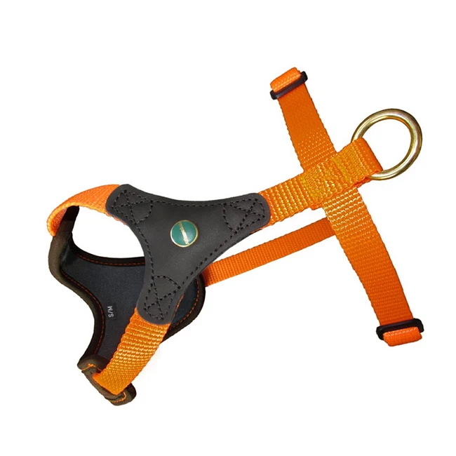 Hundegeschirr Orange | Follow Start