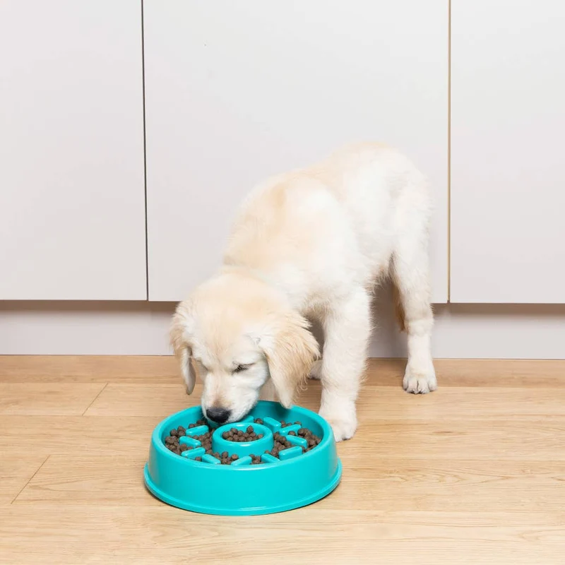 Slow-Feed-Napf | Happy Bowl Donut