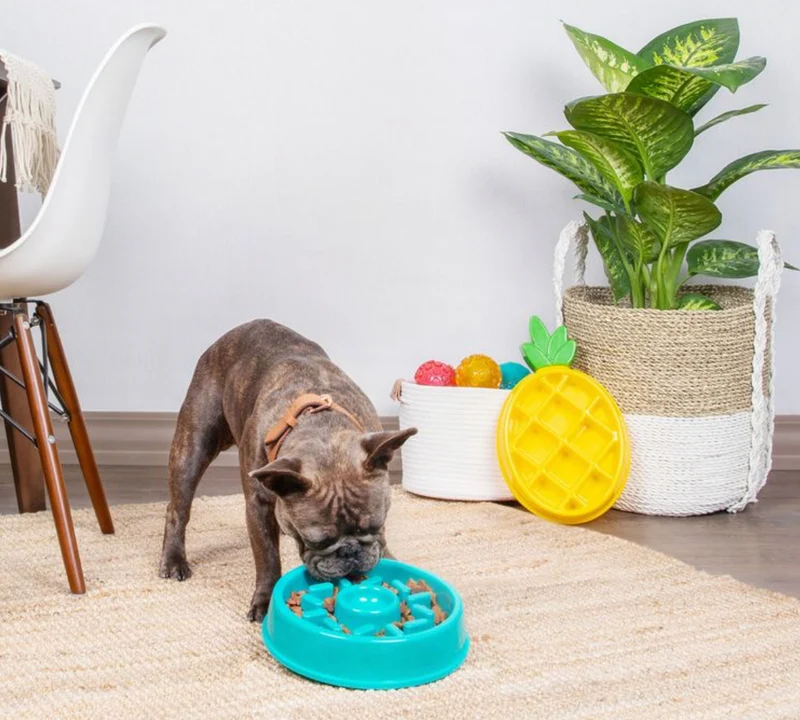 Slow-Feed-Napf | Happy Bowl Donut