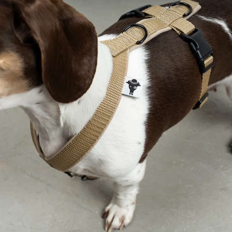 Hundegeschirr Dackel | Sand