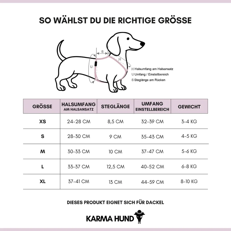 Hundegeschirr Dackel | Sand