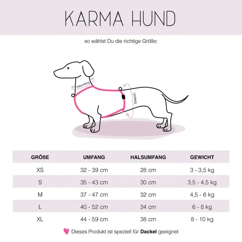 Hundegeschirr Dackel | (alte Variante)