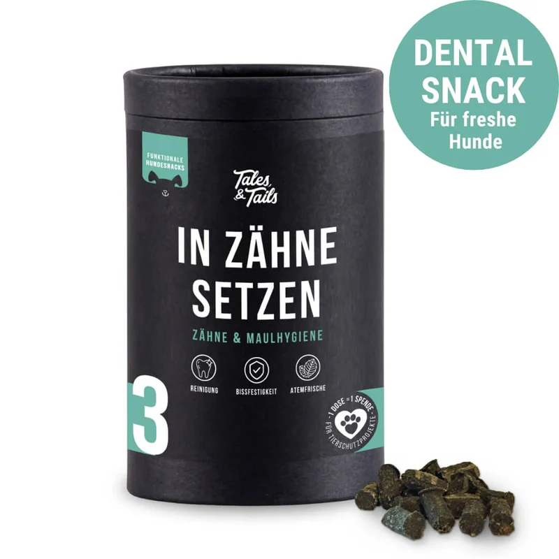 Zahnpflege Snack | In Zähne setzen