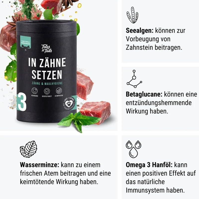 Zahnpflege Snack | In Zähne setzen