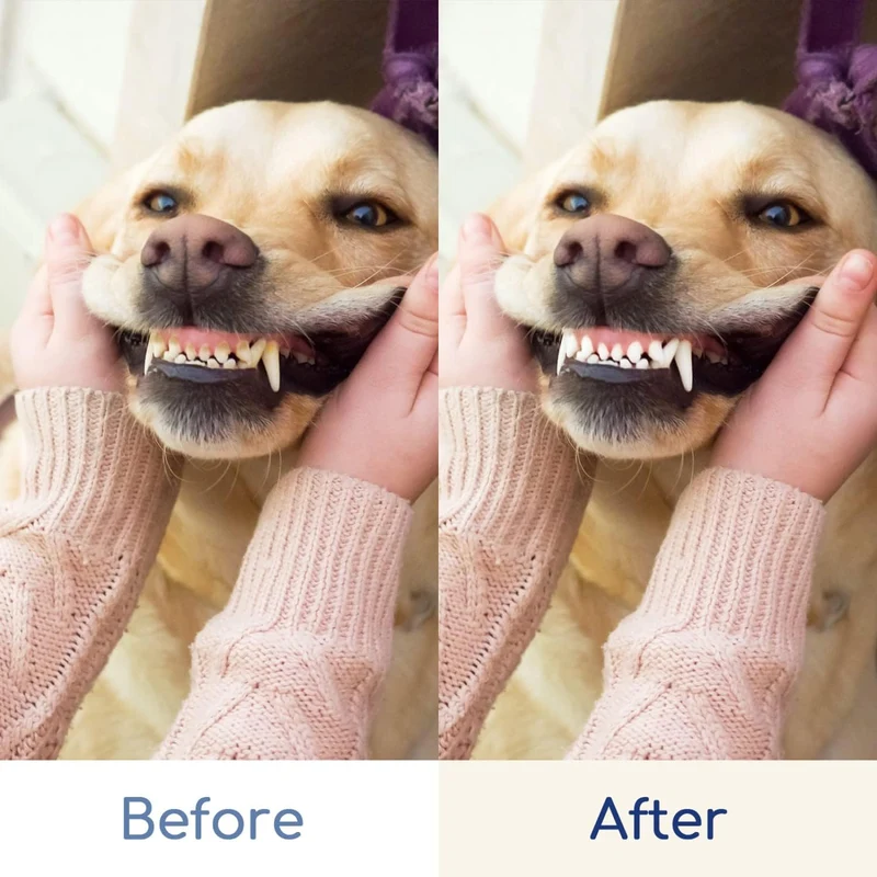 nobleza 2-in-1 Zahnpflegeset für Hunde Zahnbürste & Fingerzahnbürsten