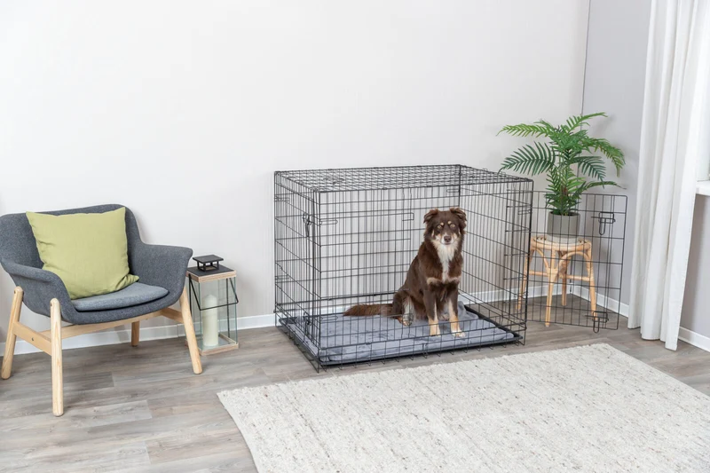 Hundebox Home
