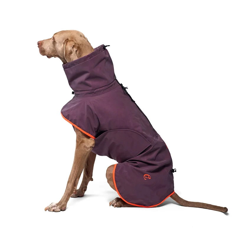 Hunderegenmantel AKTIV Aubergine/Orange