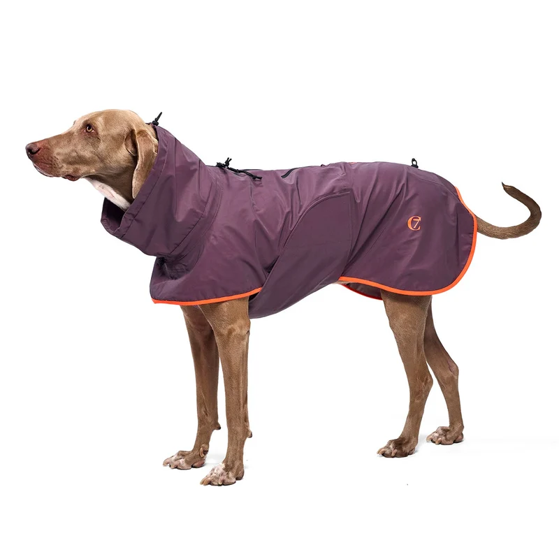Hunderegenmantel AKTIV Aubergine/Orange
