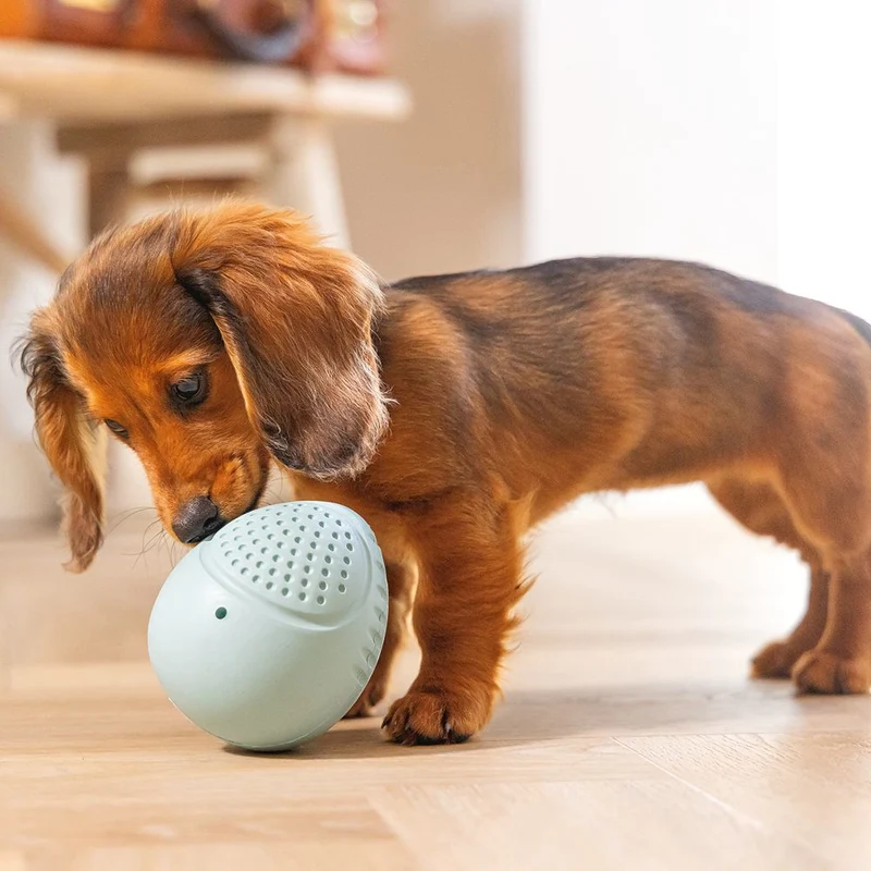 Beeztees Puppy Snack-Ei - Welpen Beschäftigungsball Snackball Futterball - Snack Leckerli