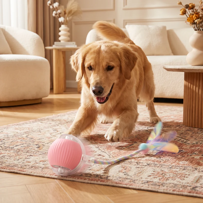 Verbesserter „Smart Rolling Dog Ball“ – strapazierfähiges interaktives Spielzeug mit Netzschwanz
